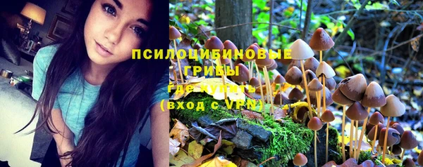 гашишное масло Аркадак