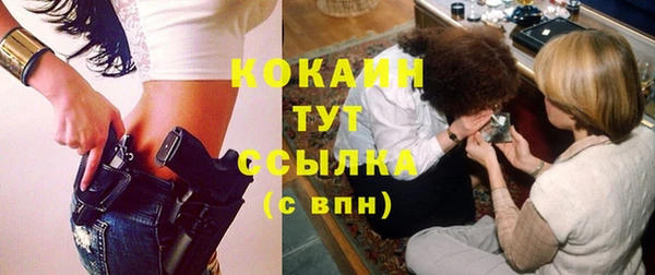 прущие грибы Баксан